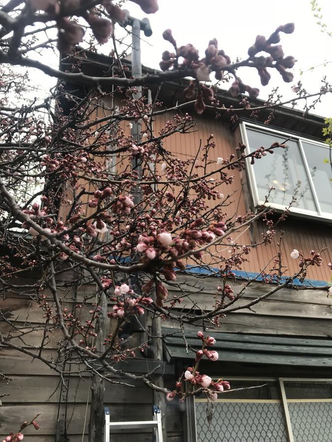 Shabby House Hotel Sapporo Bagian luar foto
