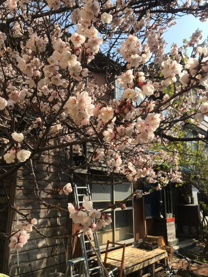 Shabby House Hotel Sapporo Bagian luar foto